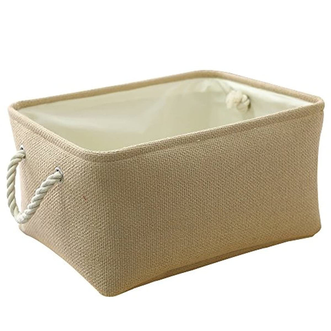 Storage Bin Organizer Basket