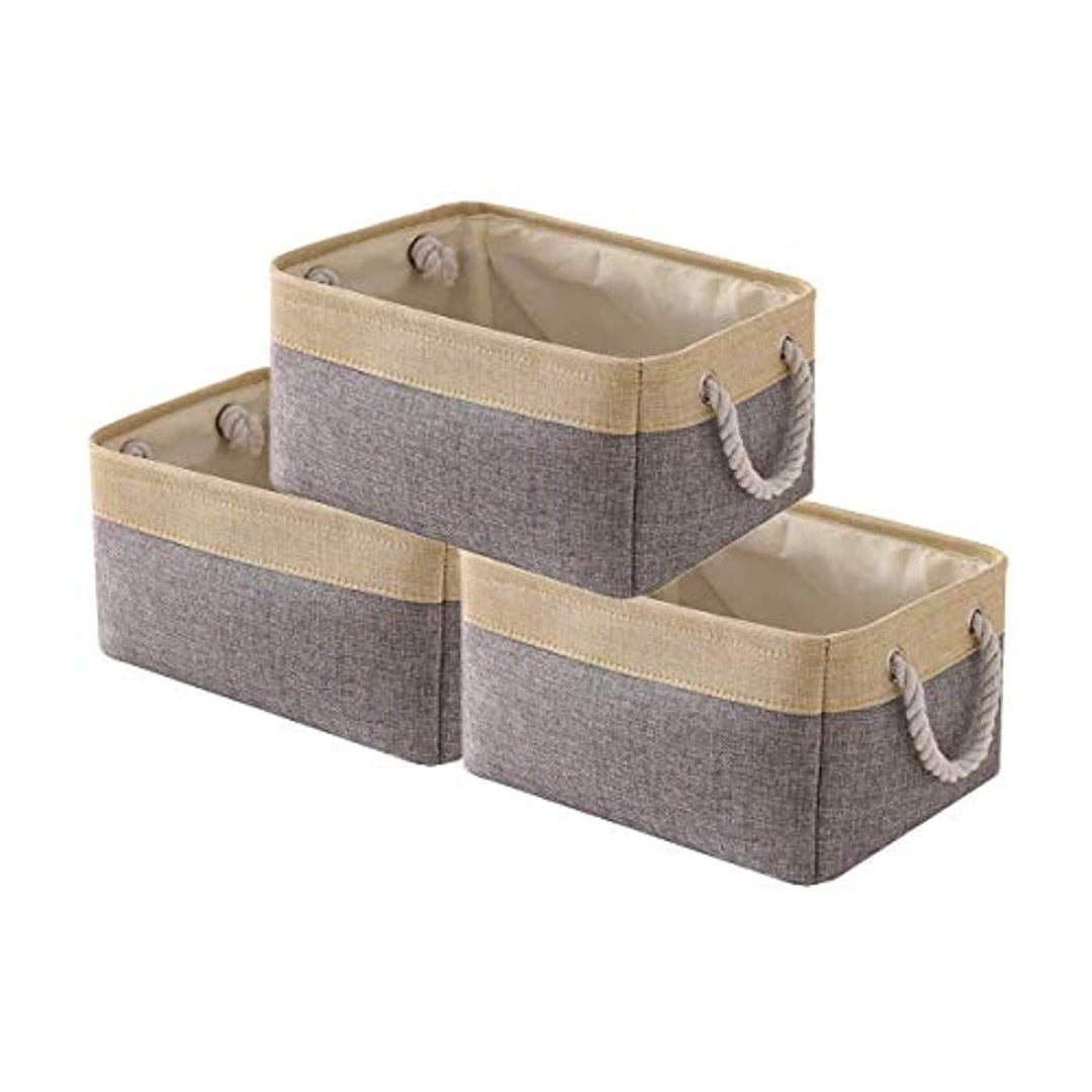 Storage Bin Organizer Basket