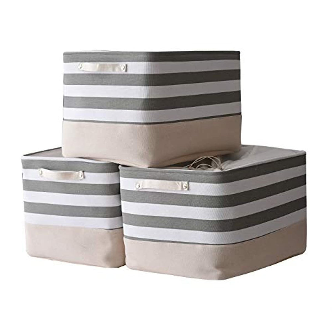 Storage Bin Organizer Basket